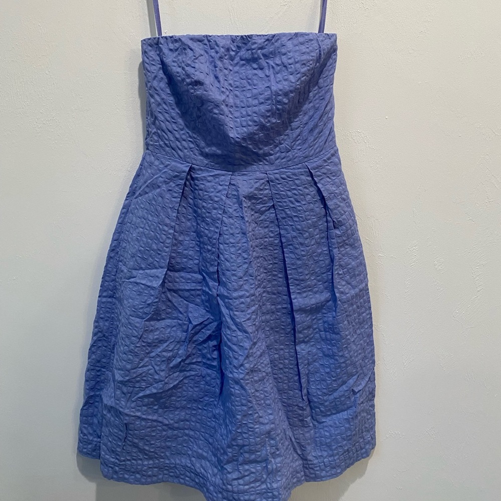 J.Crew Strapless Periwinkle Dress Size 0